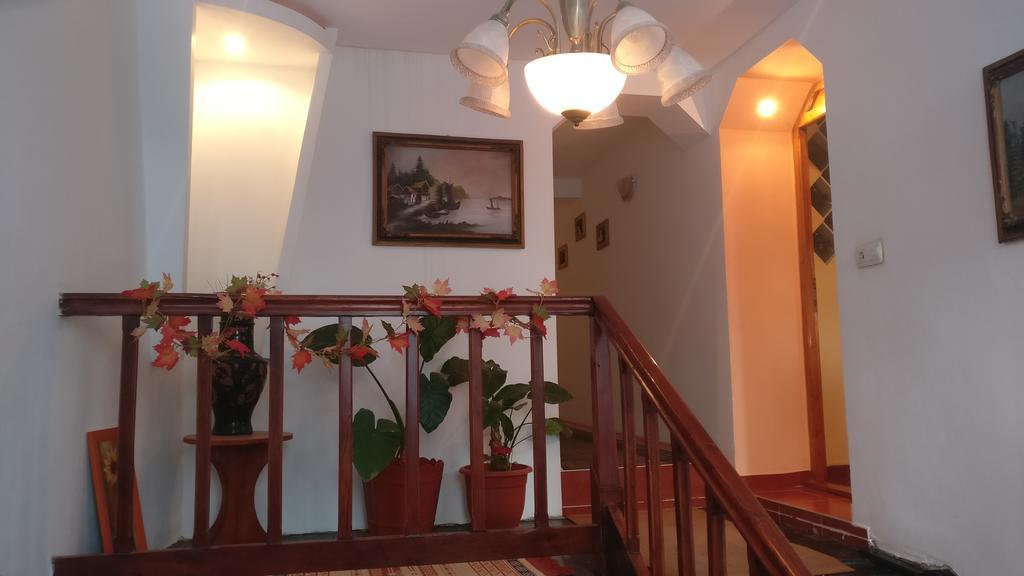Pensiunea Liana Nemsa المظهر الخارجي الصورة