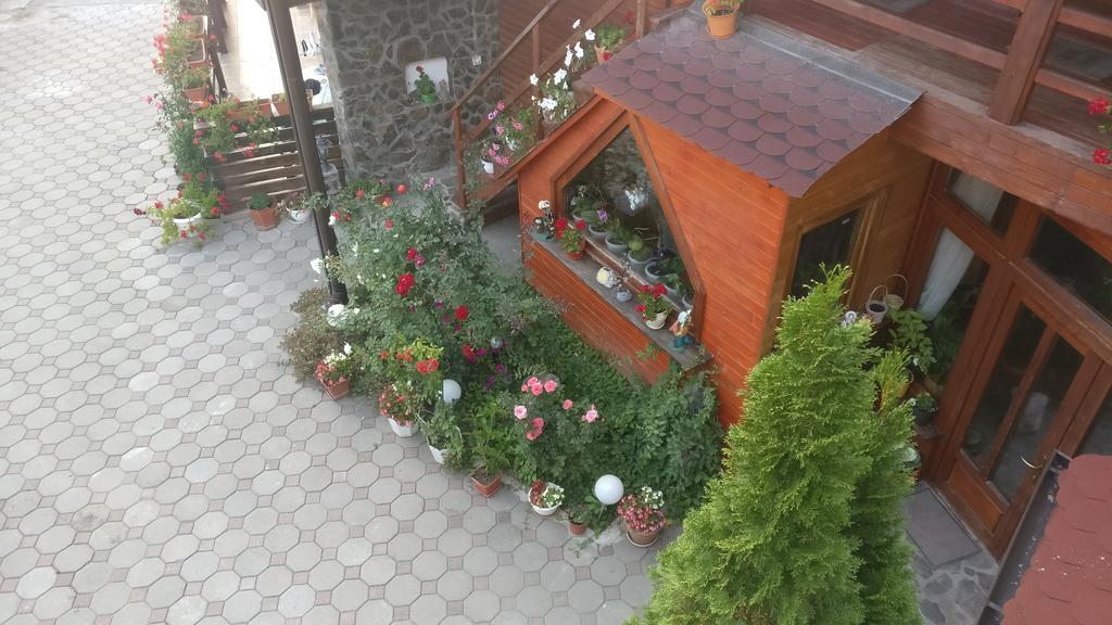 Pensiunea Liana Nemsa المظهر الخارجي الصورة