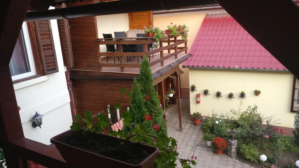 Pensiunea Liana Nemsa المظهر الخارجي الصورة
